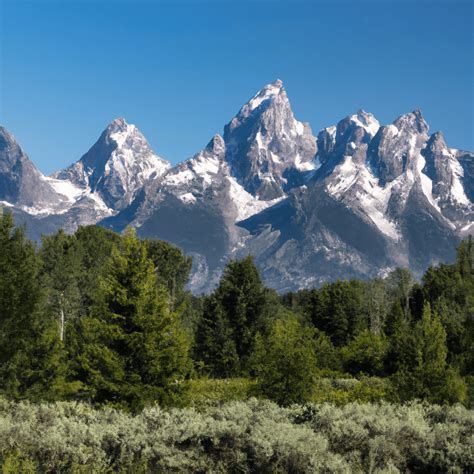 les tetons qui pointent|Les Seins qui Pointent : Causes, Impacts et Précautions